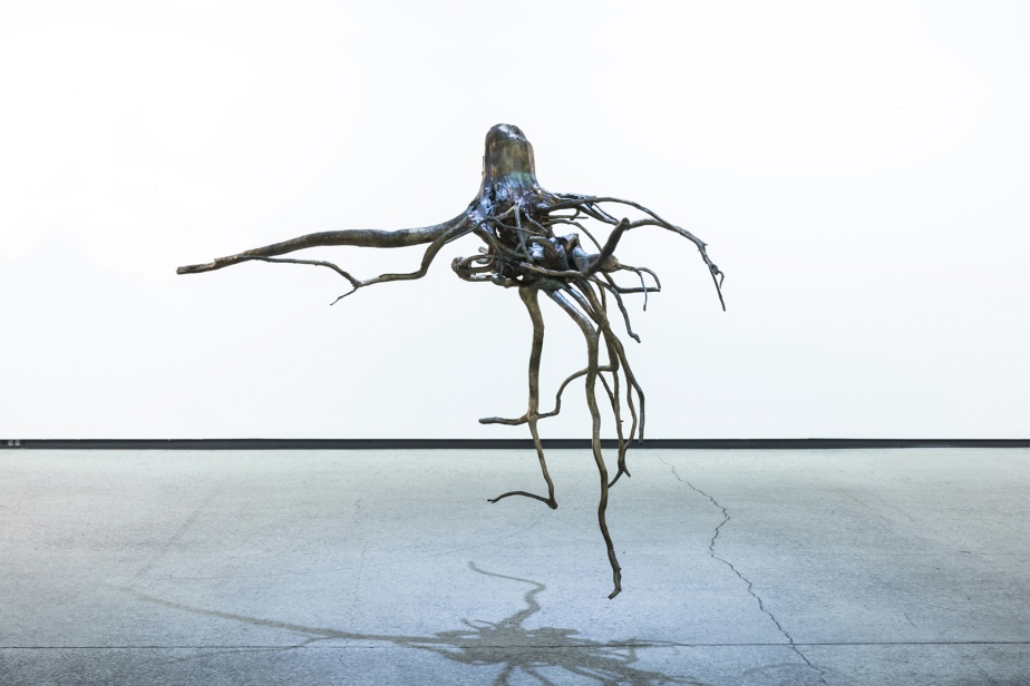bronze casting of a stump suspended in a gallery space