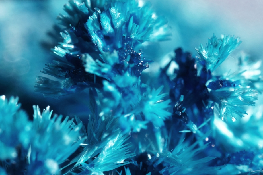 verdigris crystals seen through a microscope lens